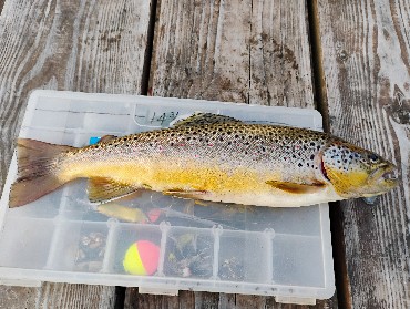 Rifle River Trout Trip - ThinkingAfield.org