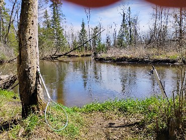 Rifle River Trout Trip - ThinkingAfield.org